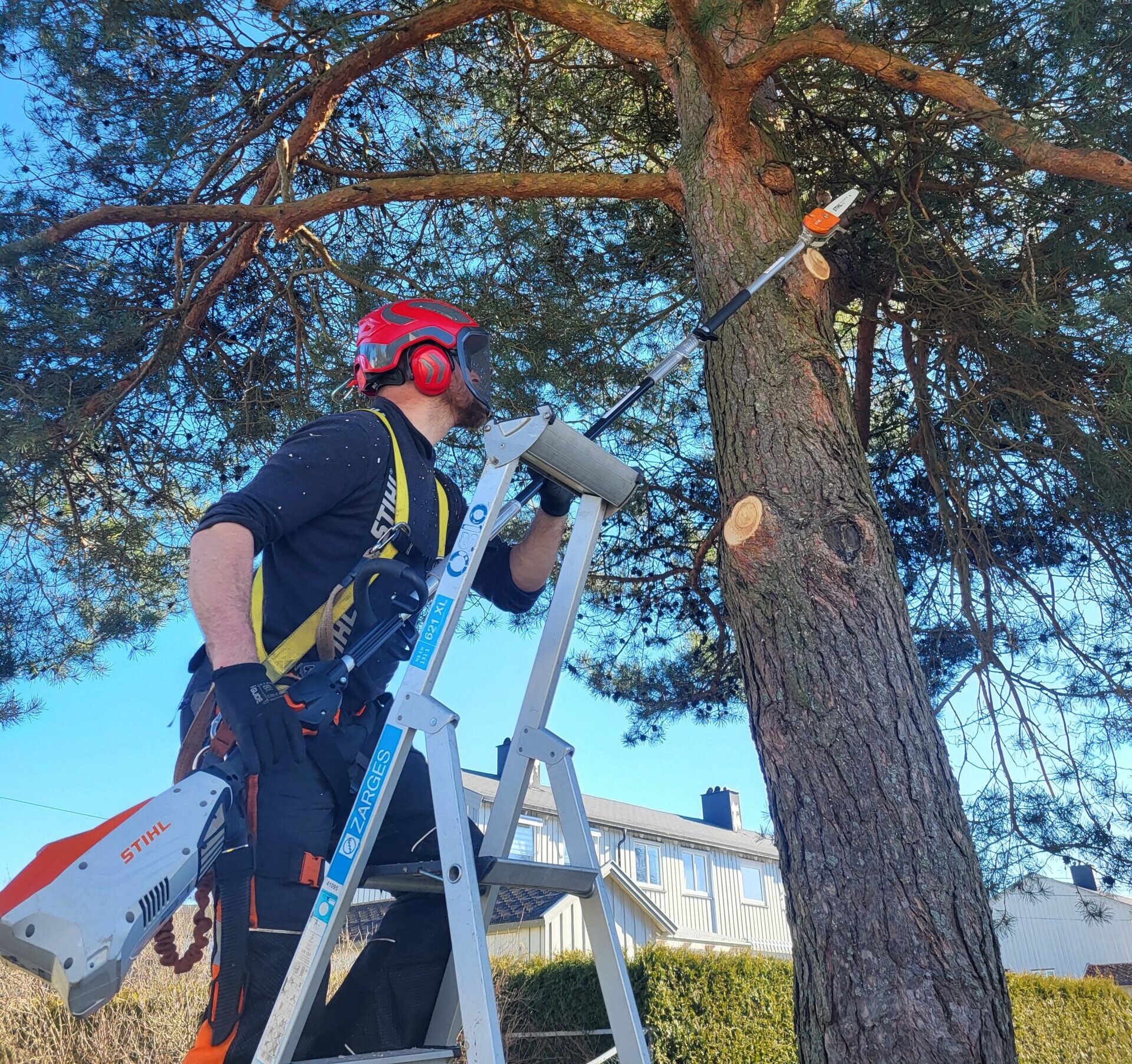 Trefelling